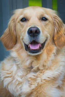 Molly