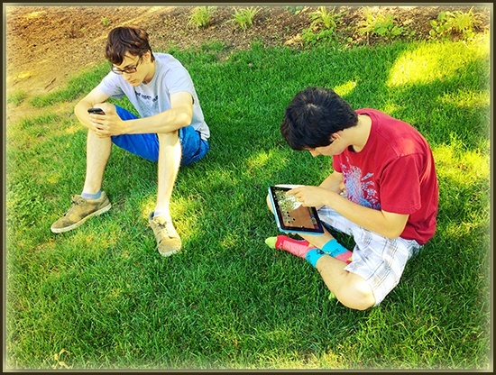 Financial wisdom for young adults.